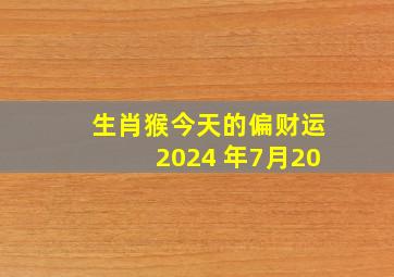 生肖猴今天的偏财运2024 年7月20